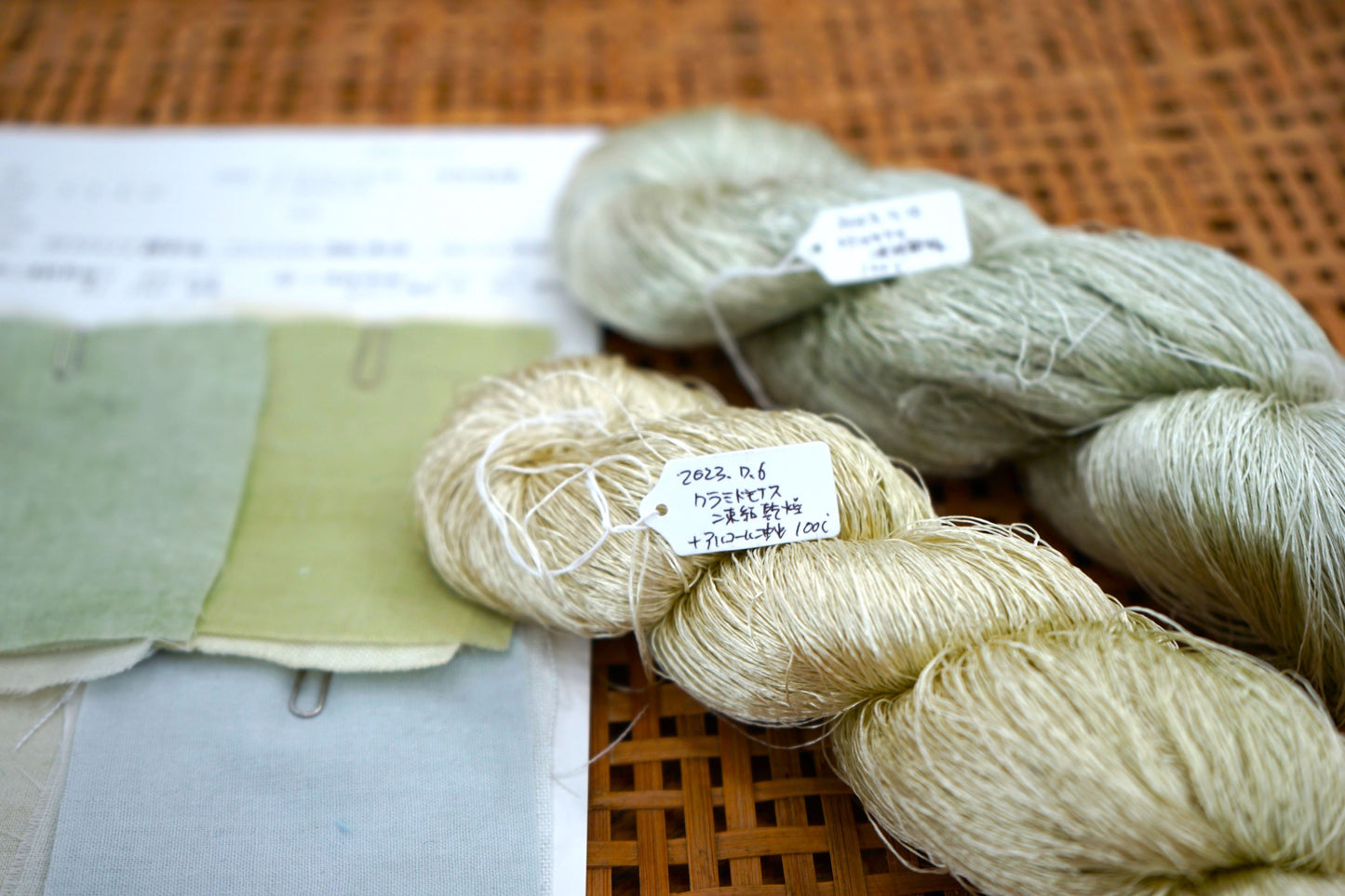 藻類 バイオ染料 日本伝統