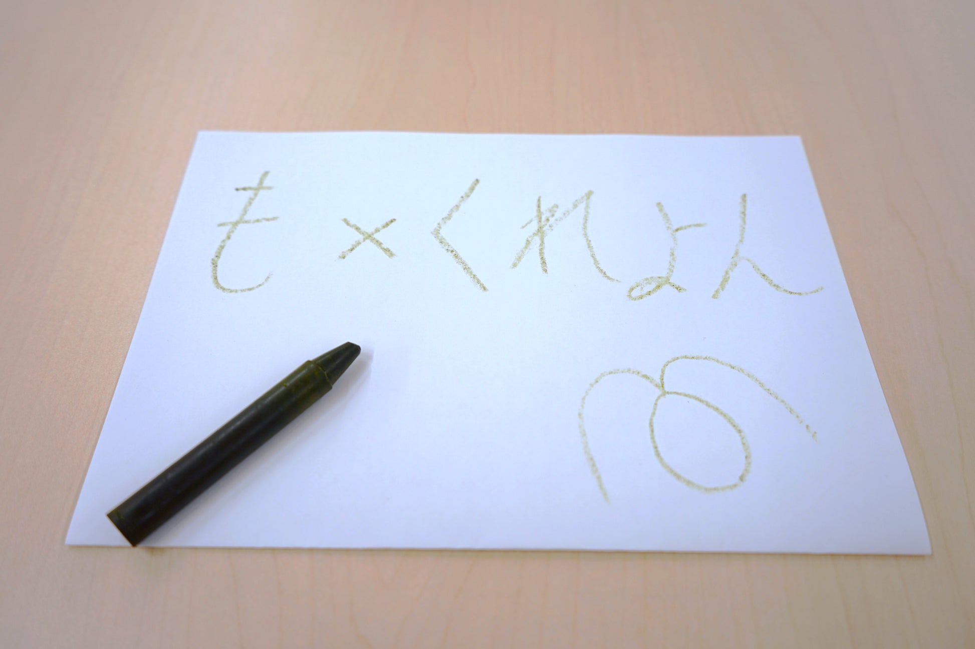 クレヨン 藻類 脱化石資源 カーボンニュートラル CHITOSE