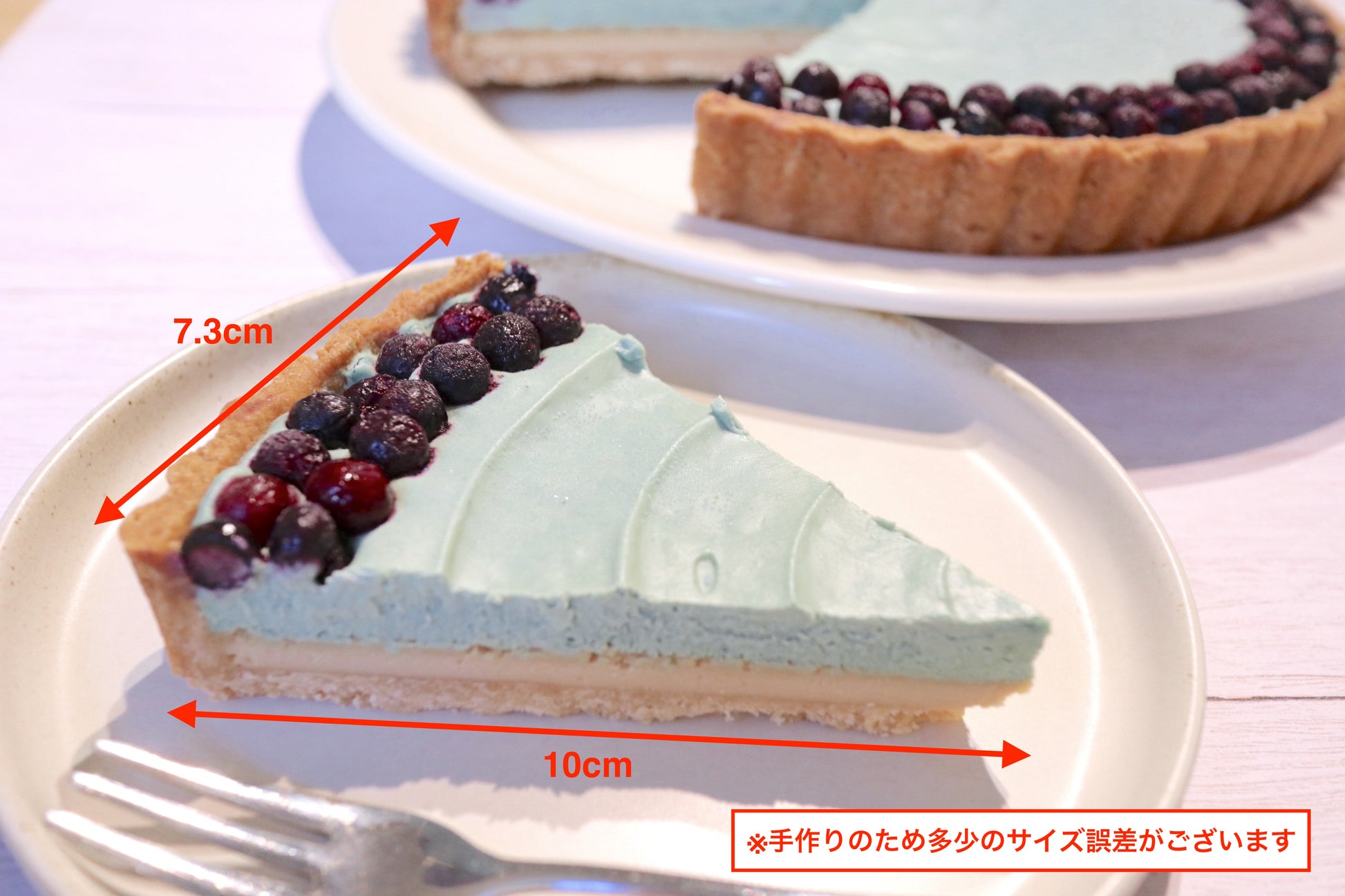 ブルーベリータルト 藻類 カーボンニュートラル プラントベース