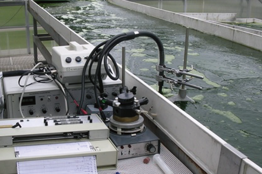 Biophysical Measurement of Algal Photosynthesis Utilizing Chlorophyll Fluorescence