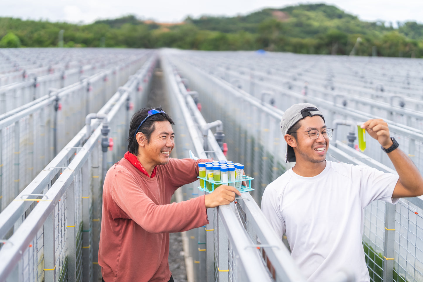 世界最大規模の藻類生産設備 in マレーシア（5ヘクタール）